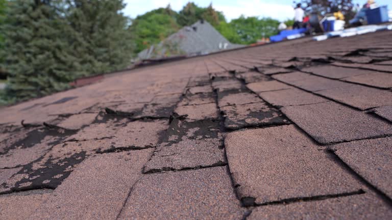 Best Commercial Roofing Services  in Pleasant Run, OH