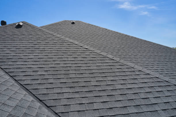 Best Roof Moss and Algae Removal  in Pleasant Run, OH